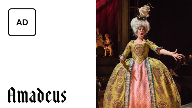 Amadeus: Full Play - Audio Description