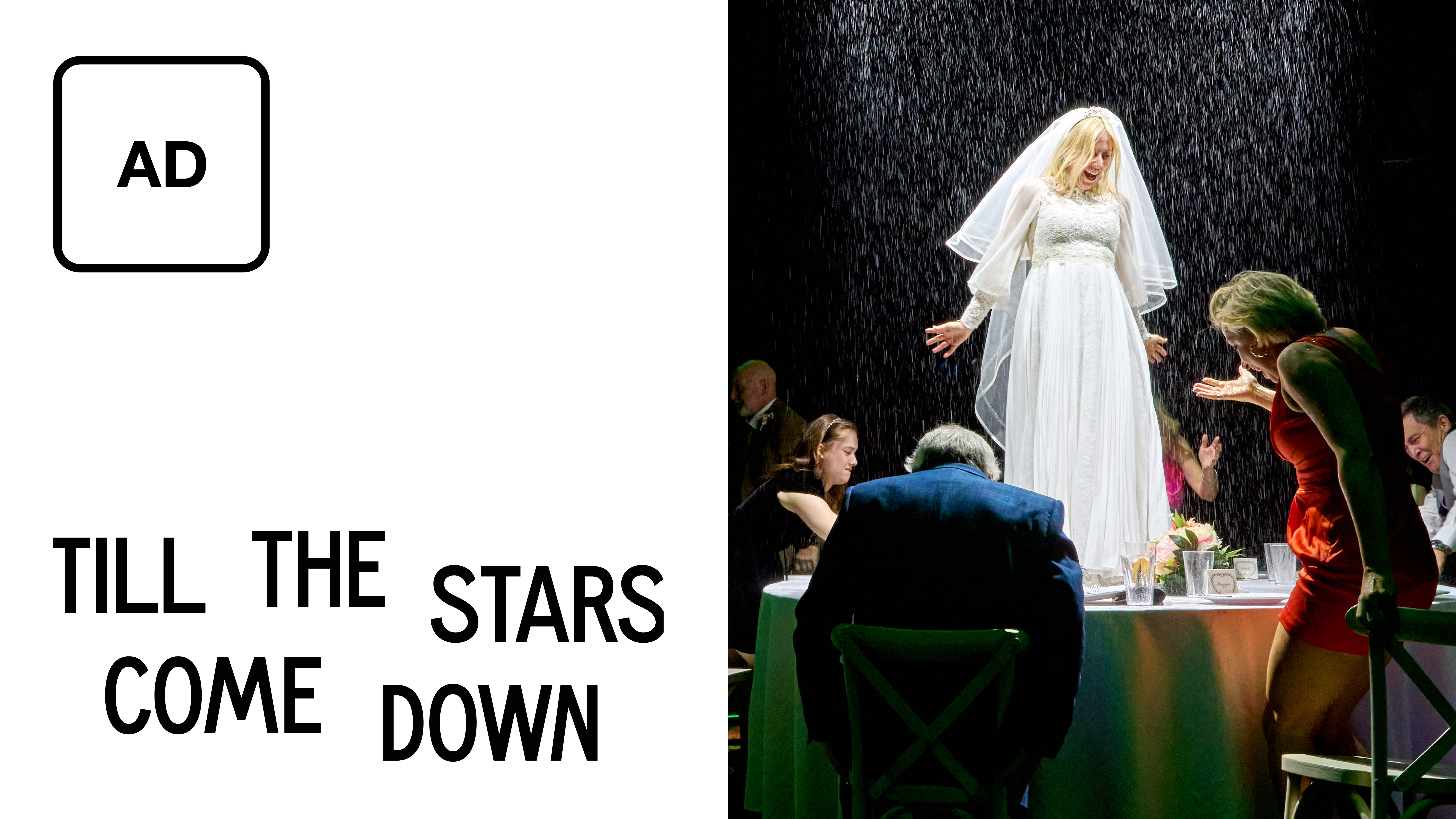 Till the Stars Come Down: Full Play - Audio Description