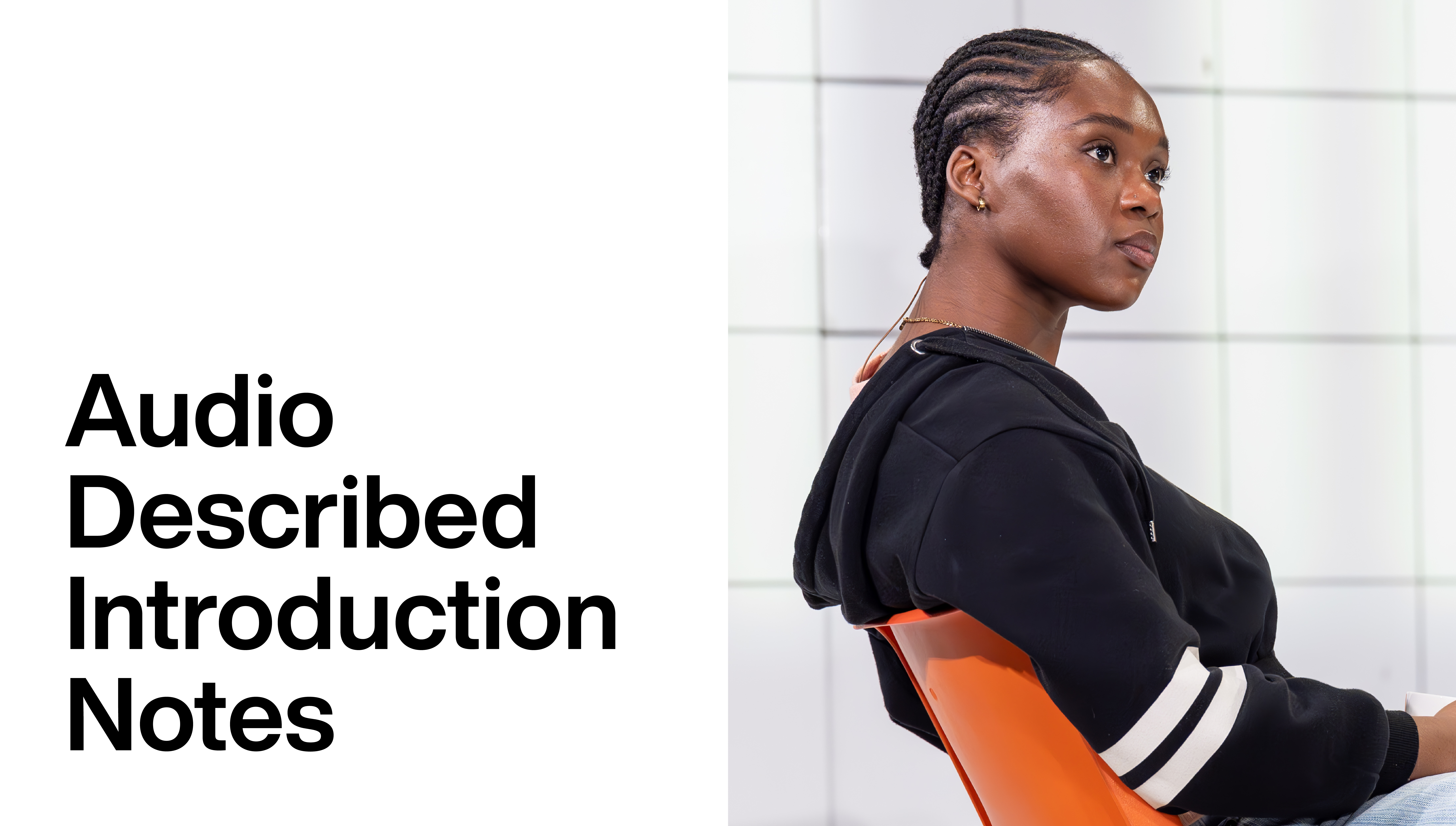 People, Places & Things: Audio Described Introduction Notes