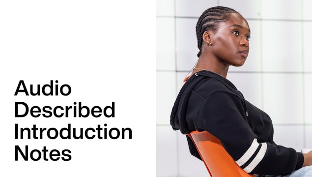 People, Places & Things: Audio Described Introduction Notes