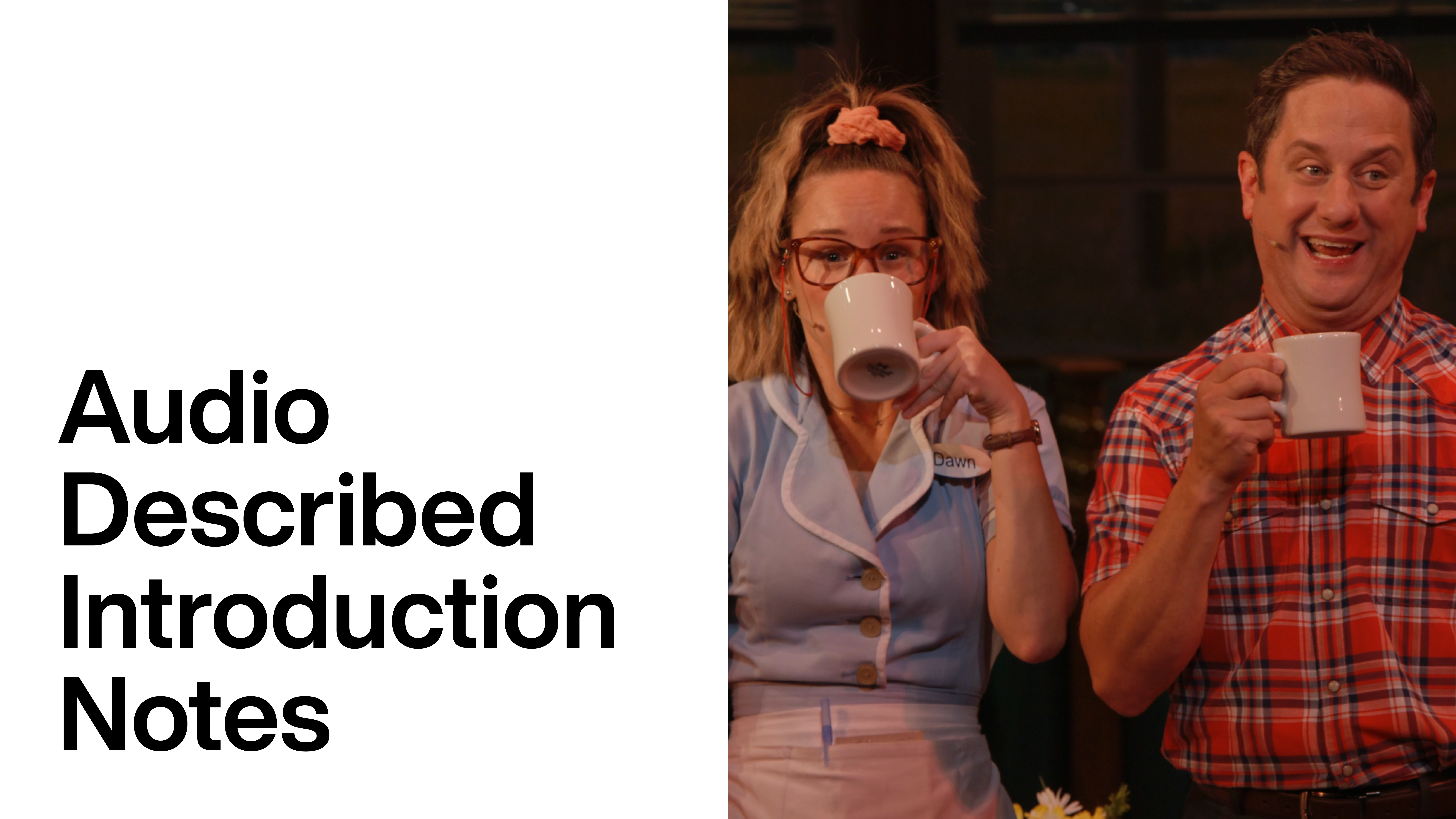 Waitress: The Musical - Audio Described Introduction Notes