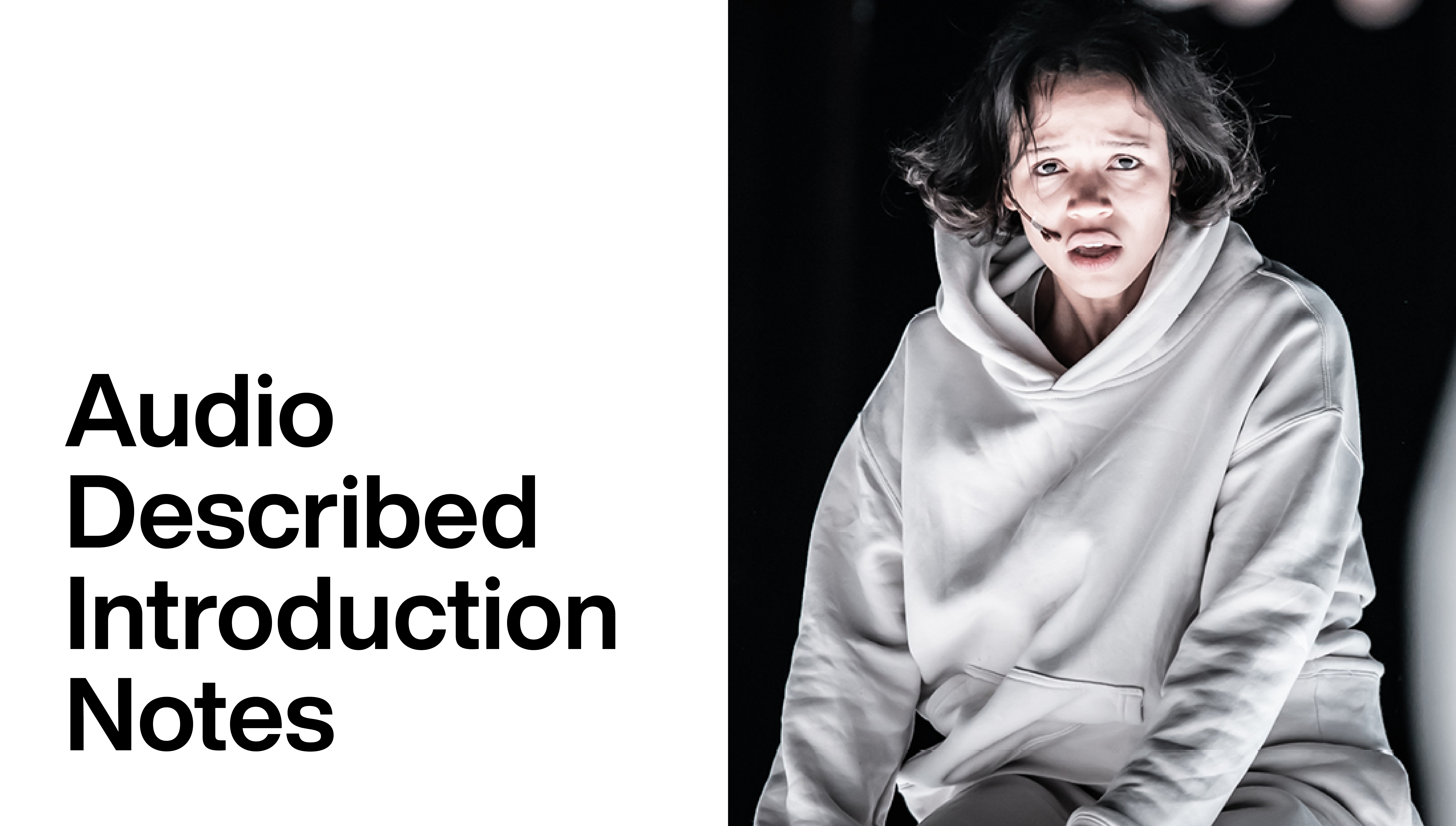 The Effect: Audio Described Introduction Notes