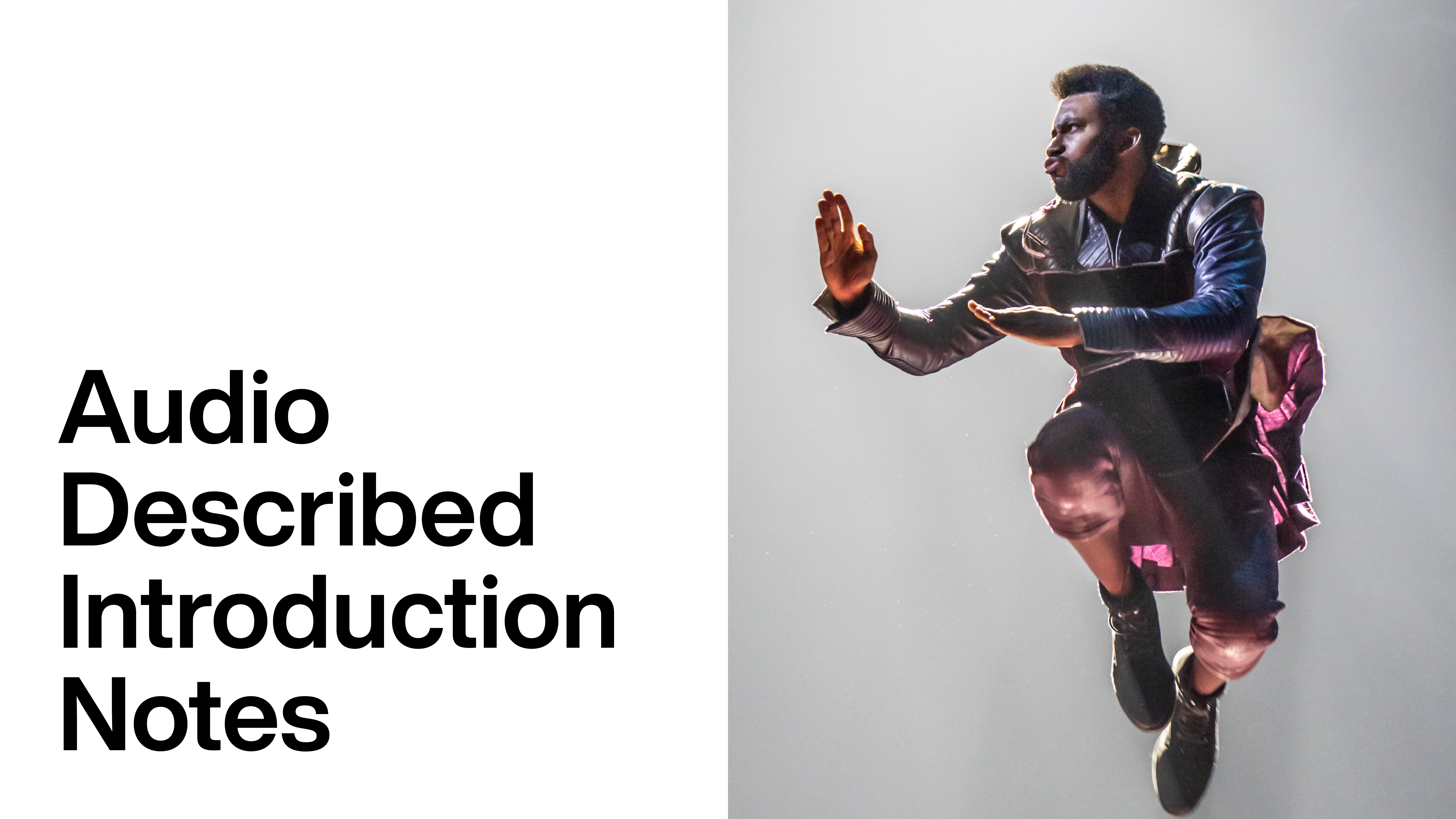 Hex: Audio Described Introduction Notes