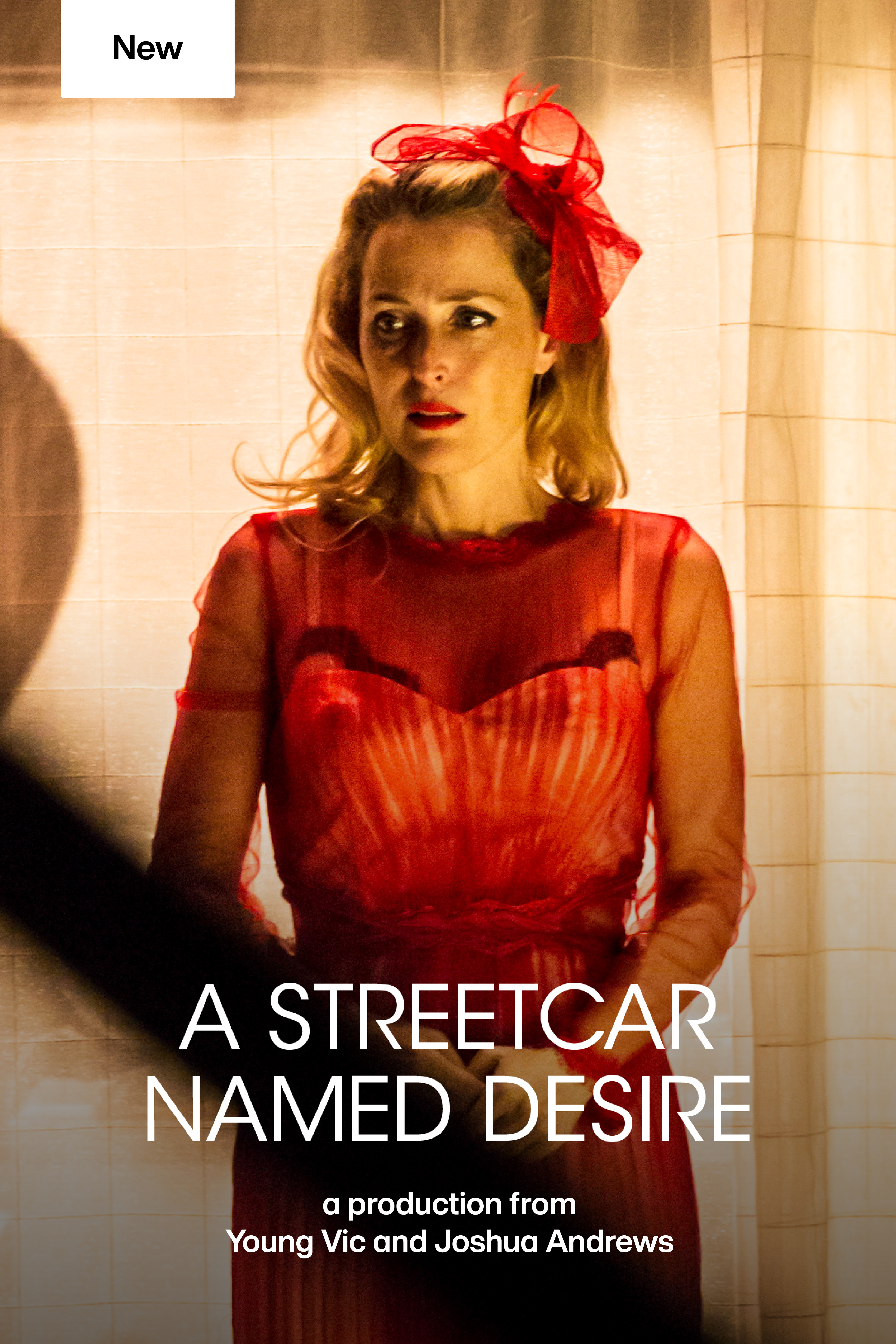 A Streetcar Named Desire