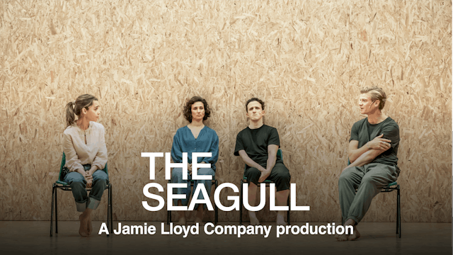 The Seagull