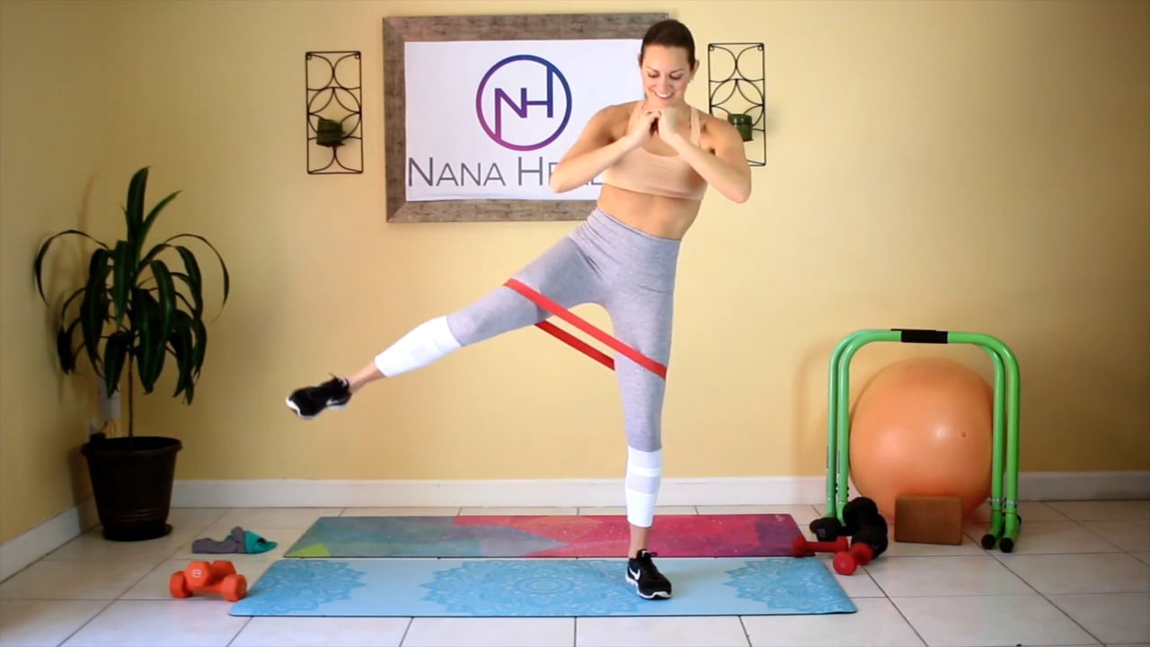 Fit Holiday Challenge Day3,17 Lower Body