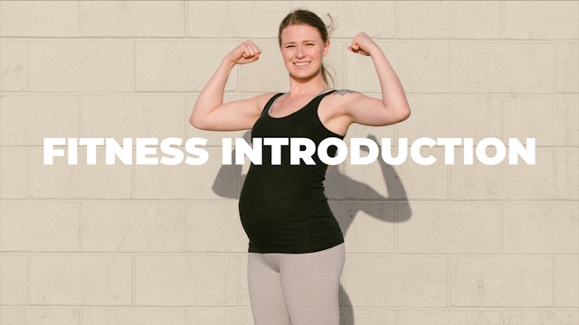 Pregnancy-Fitness-Intro-eBook.pdf