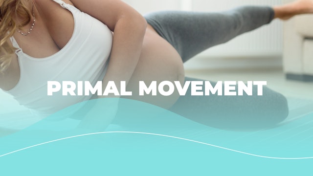 Primal Movement - Lunges