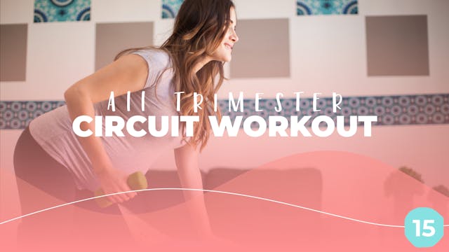 All Trimester - Circuit Workout 15