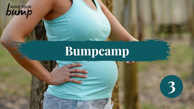 All Trimester - Bumpcamp Workout 3 