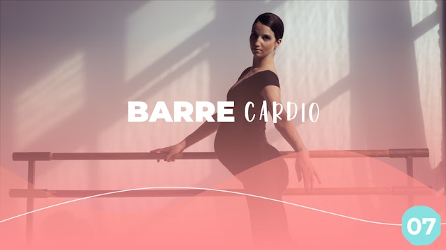All Trimester - Barre Cardio Workout 7