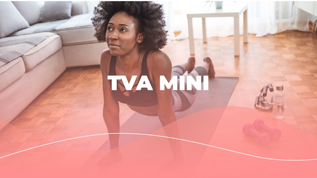 TVA Mini