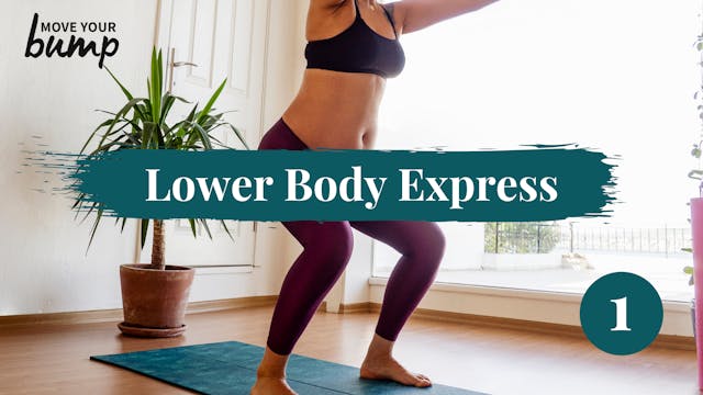 All Trimester - Lower Body Express Wo...
