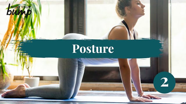 TTC - Posture Workout 2