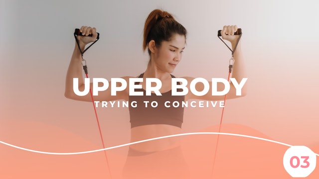 TTC - Upper Body Workout 3