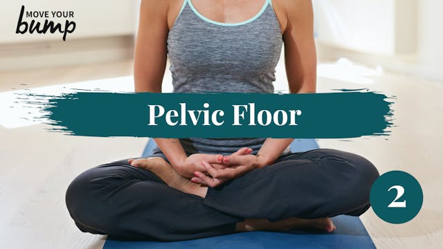 TTC - Pelvic Floor Strength Workout 2