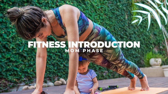 Fitness Introduction Guide (MOM)