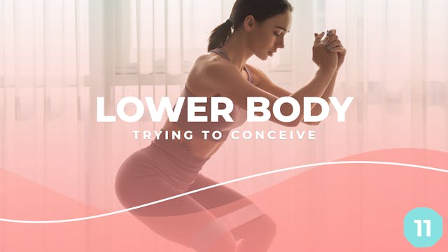 TTC - Lower Body Workout 11