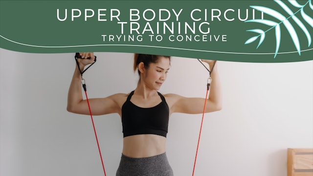 Upper Body Focused Circuit Workouts - TTC/MOM