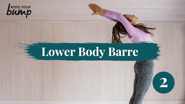 TTC - Lower Body Barre Workout 2