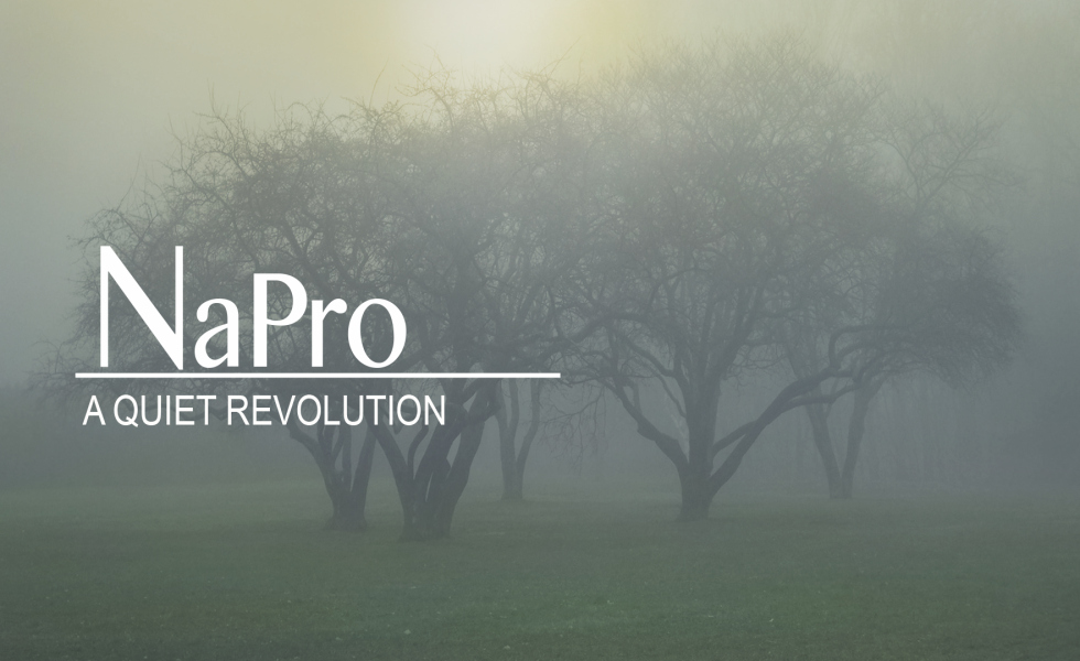 NAPRO: A Quiet Revolution