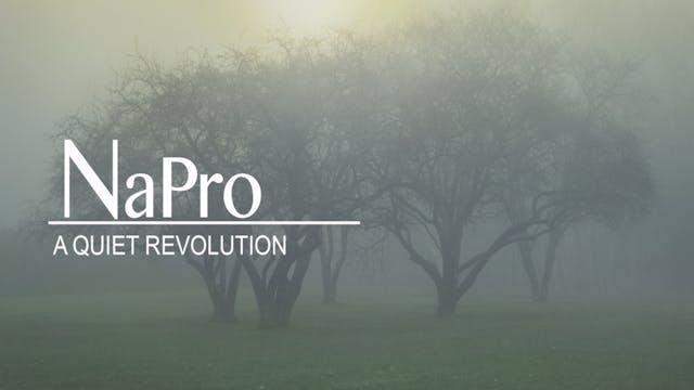 NAPRO: A Quiet Revolution