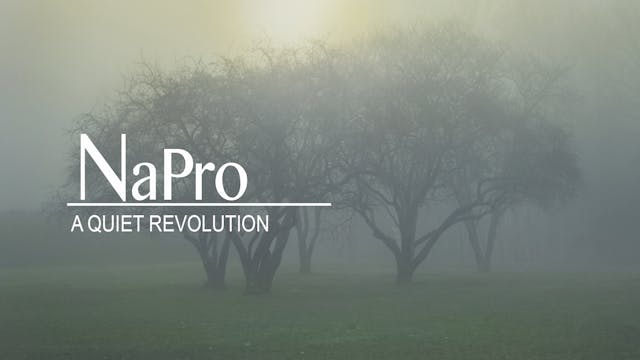 NAPRO: A Quiet Revolution (Deluxe package) 