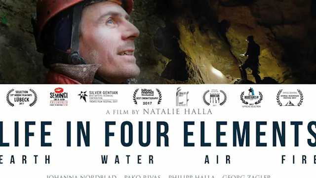 Life in Four Elements