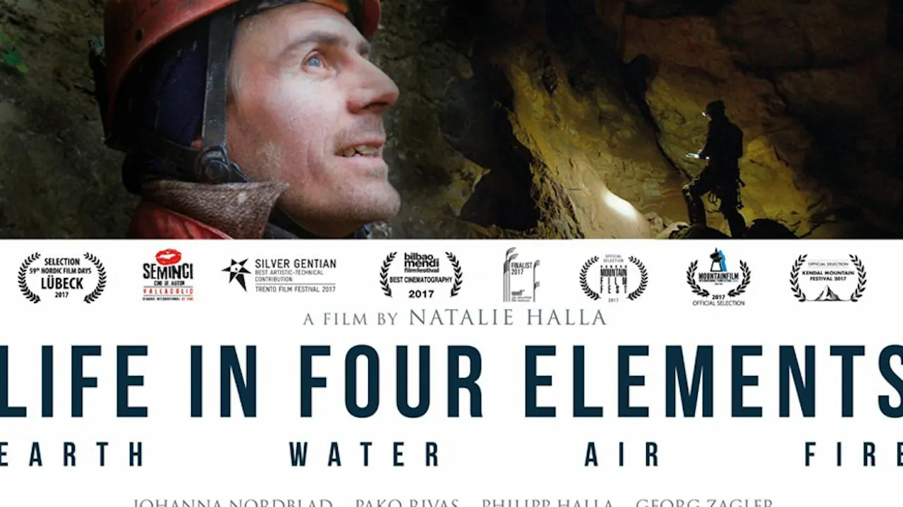Life in Four Elements
