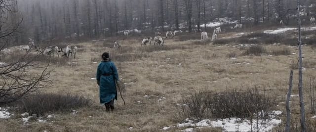 THE SHAMANS´ NIGHTMARE