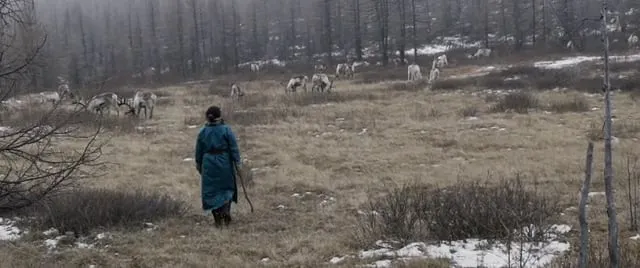 THE SHAMANS´ NIGHTMARE