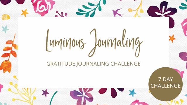 Day 6 - 7 Day Gratitude Journal Chall...