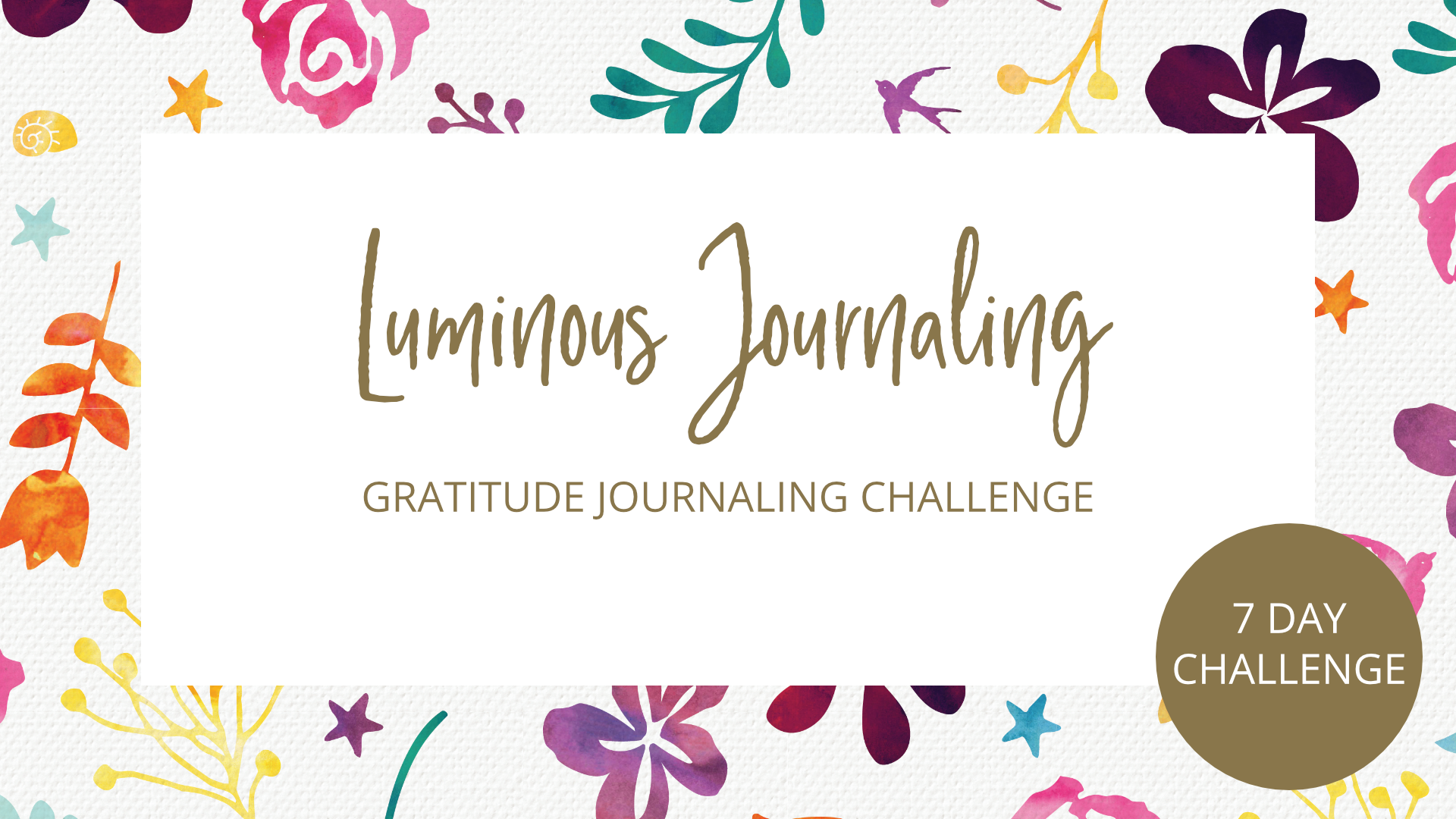 Day 7 - 7 Day Gratitude Journal Challenge