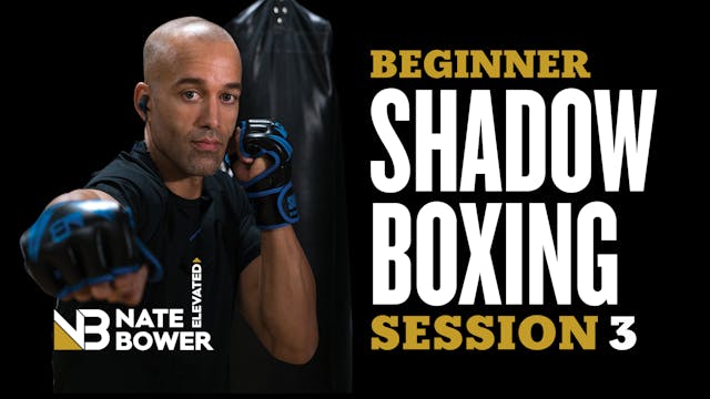 Beginner Shadow Boxing Session 3