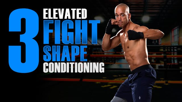 Fight Shape Fight 3