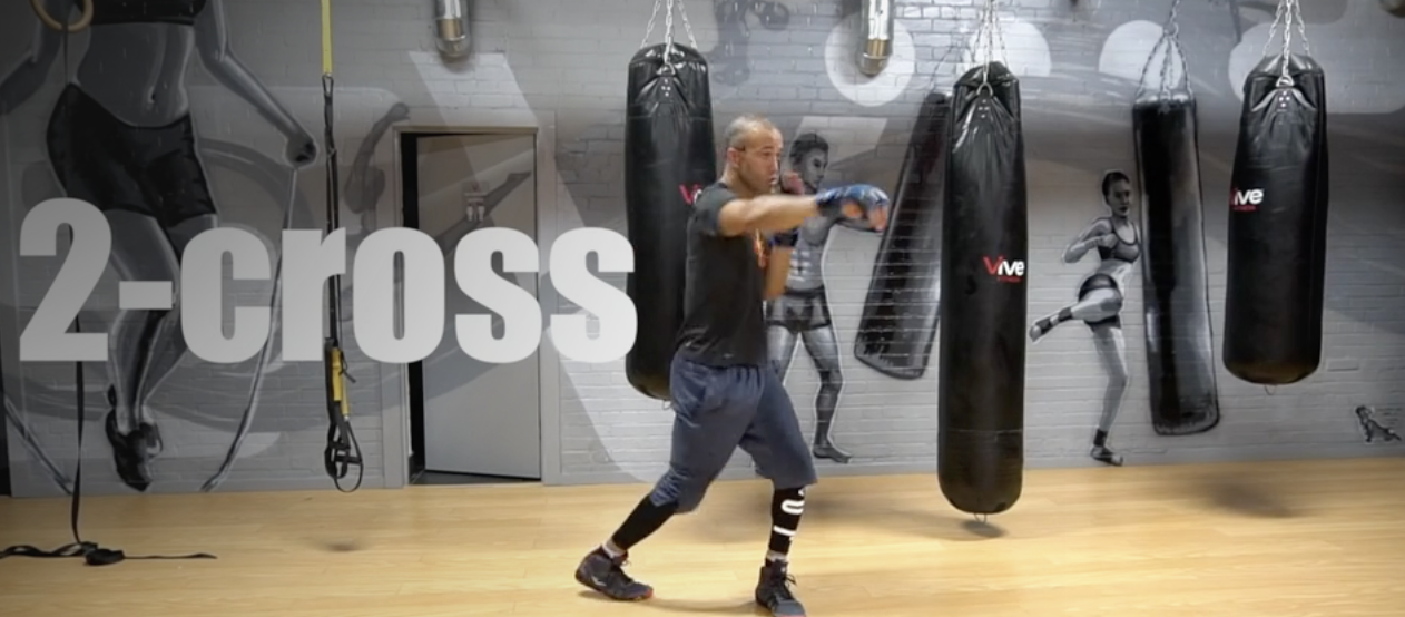 21 Day Challenge Day 17-Basic Shadow Boxing Workout