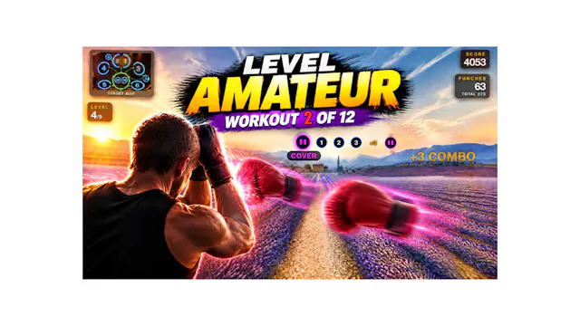 20 Minute Boxing Challenge - Level Am...