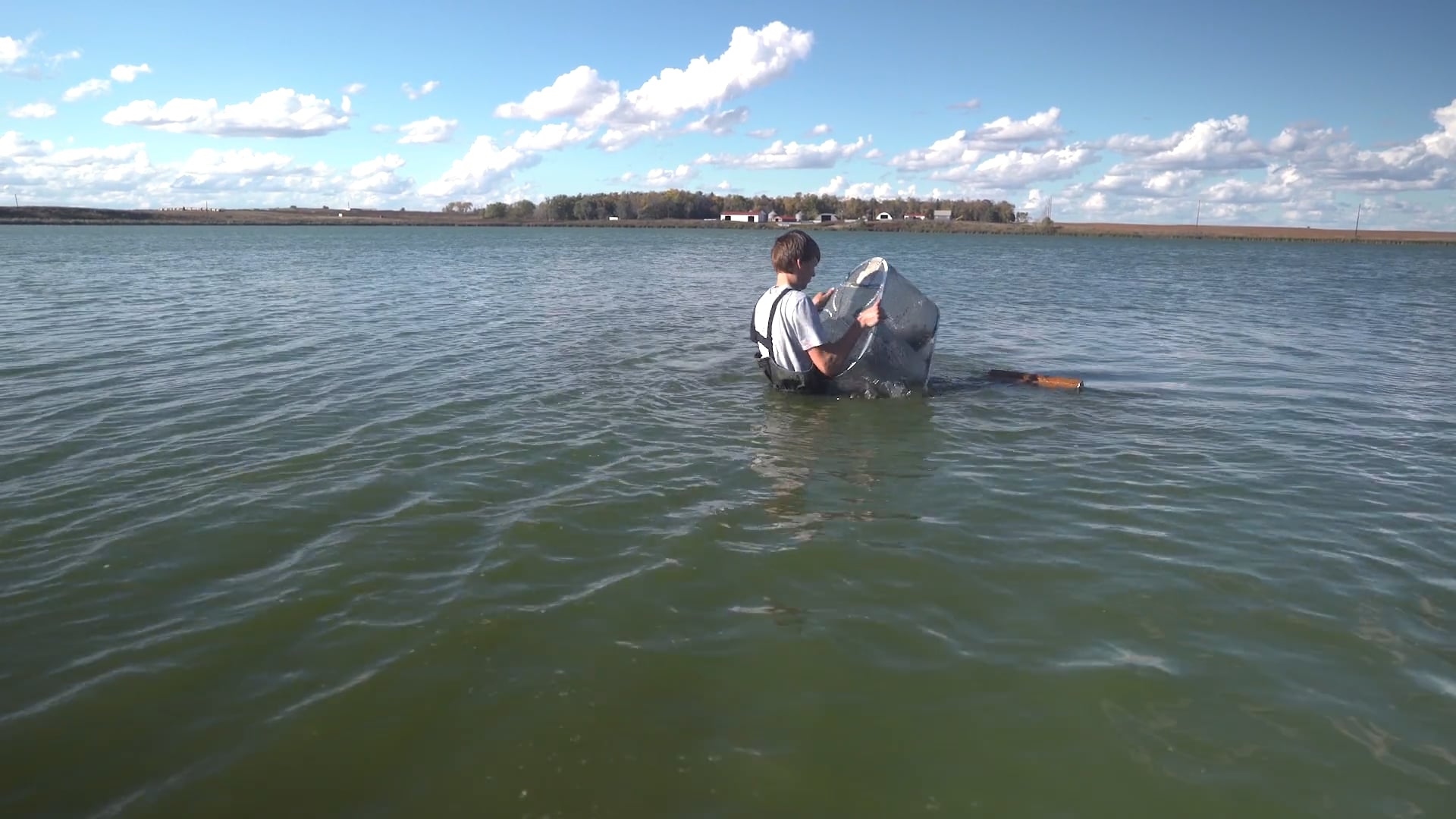 Minnow Trapping SAE
