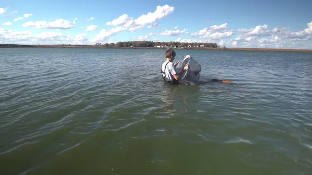 Minnow Trapping SAE