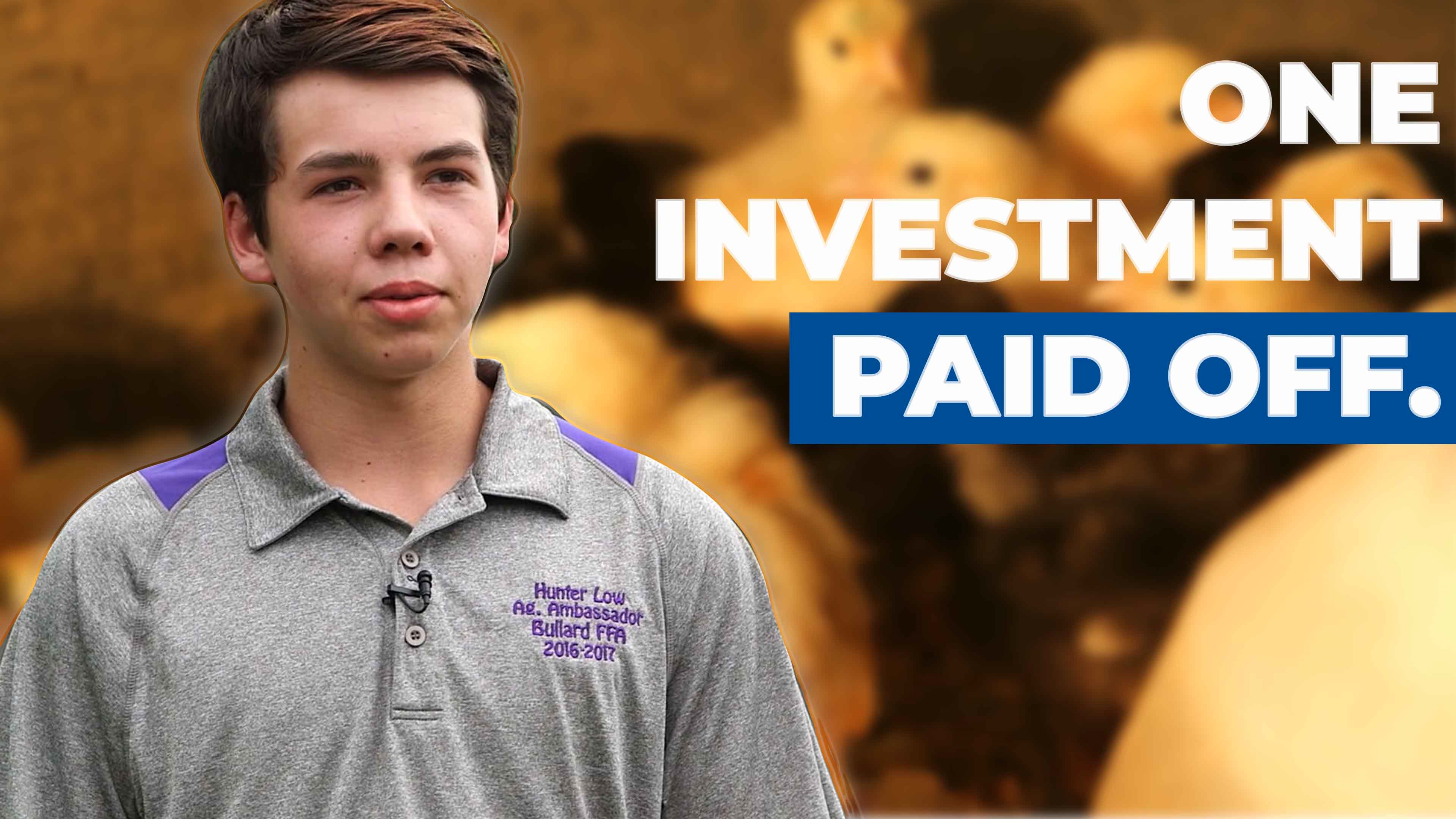 Poultry and Game Birds | SAE
