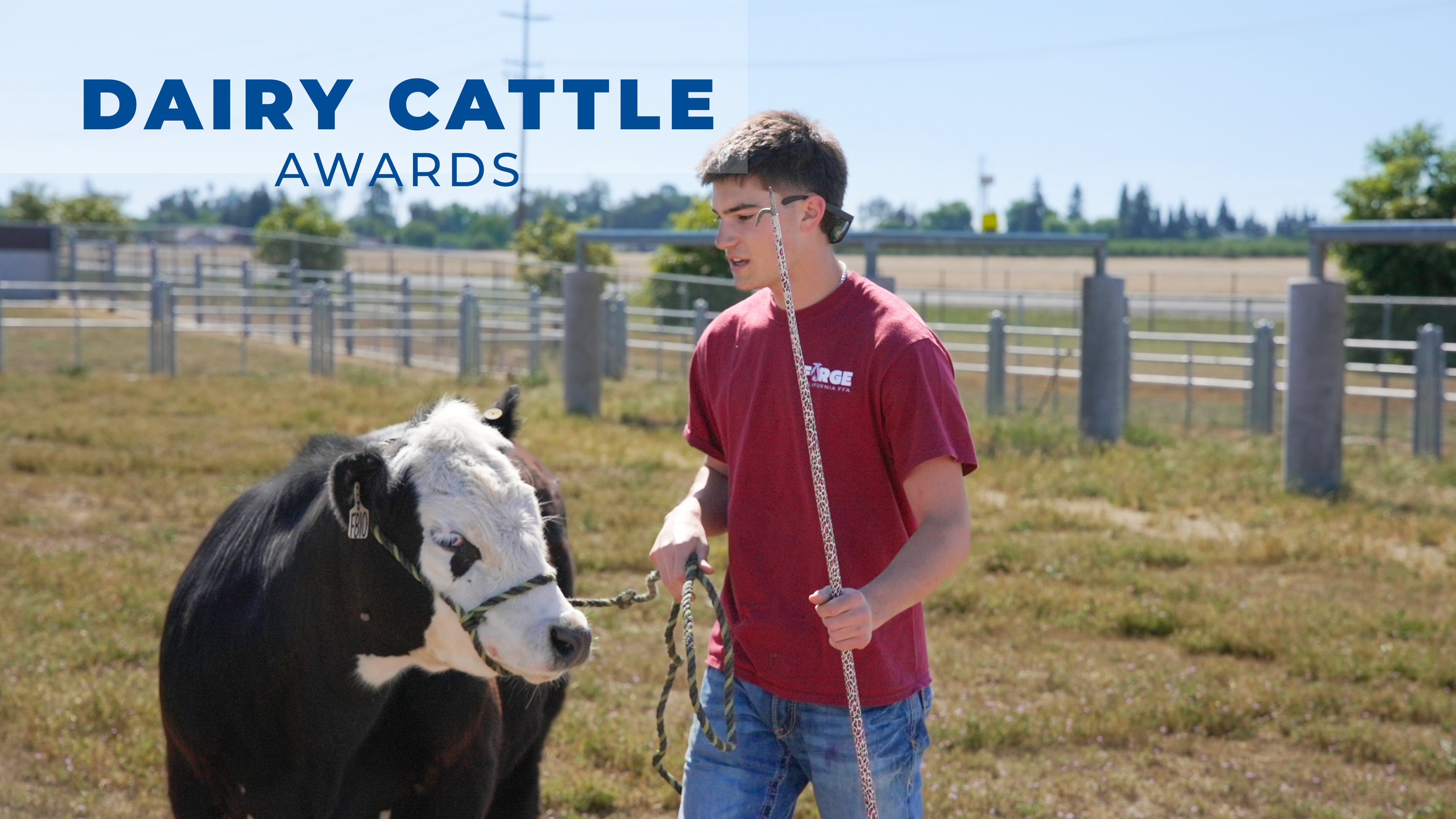 Dairy Cattle Evaluation and Management Awards  | 2026 Convention