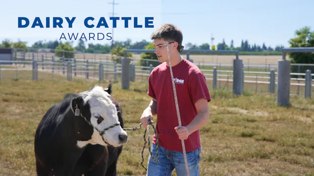 Dairy Cattle Evaluation and Managemen...