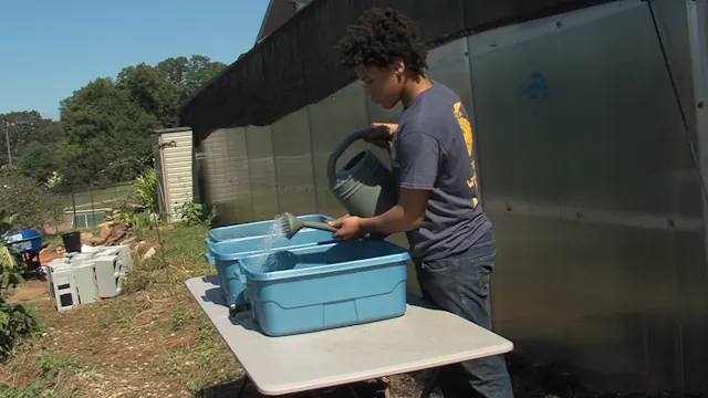 Exploring Vermicomposting: Ethan's SA...