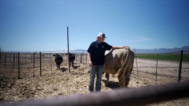 Ranch Management SAE