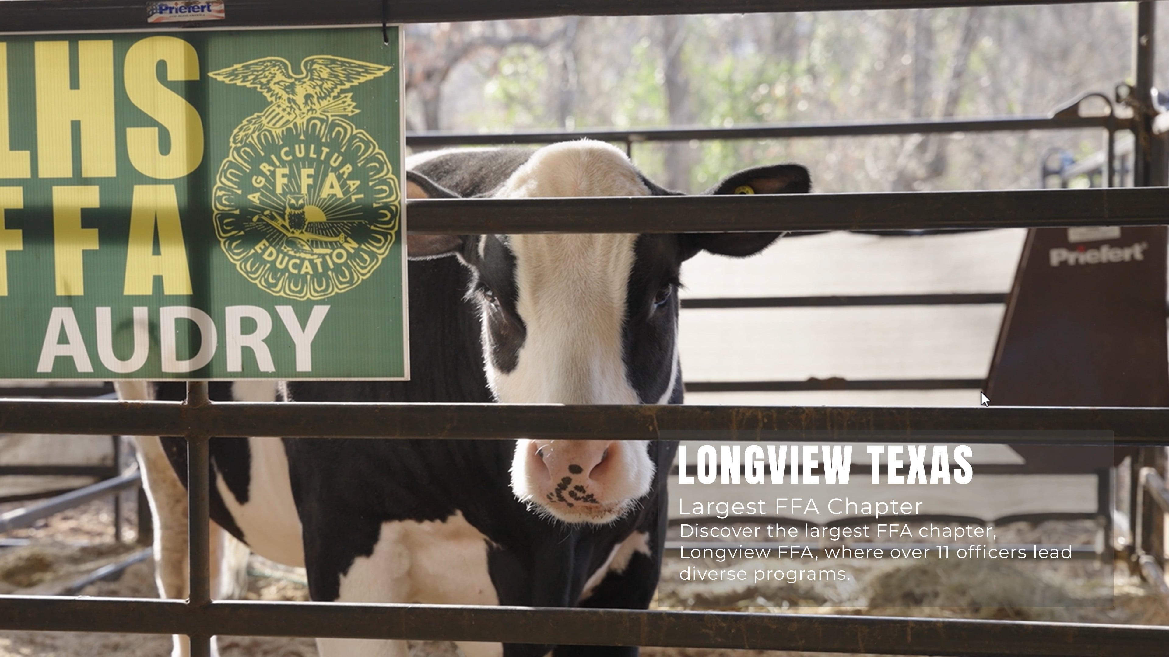 Longview FFA: Nation's Largest Chapter