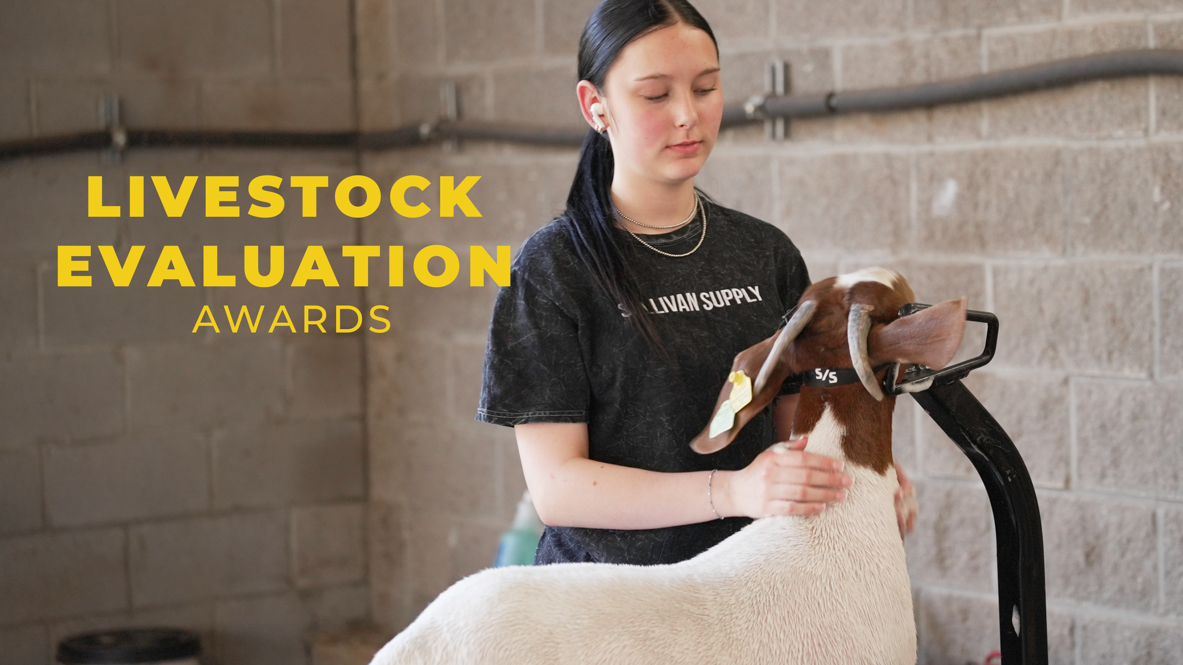 Livestock Evaluation Awards - 10/22/2026, 15:57:28