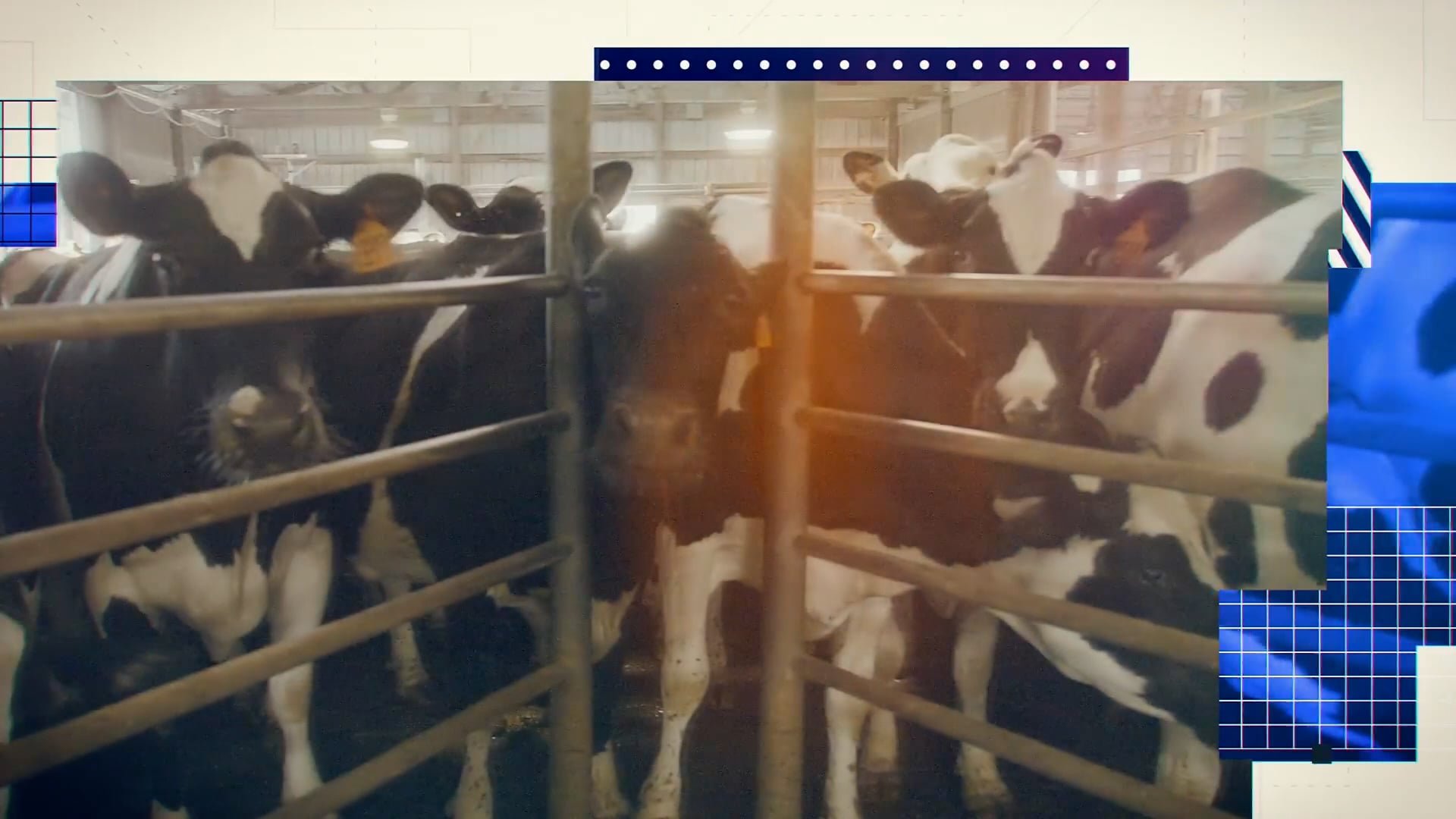 Chapter 1 Dairy to the Dish with Culvers