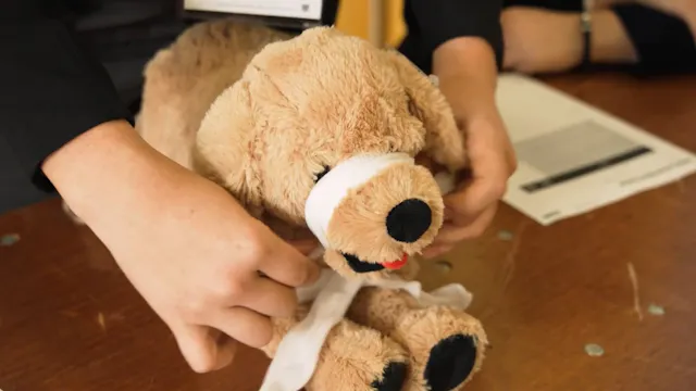 A Hands-On Approach to Veterinary Edu...
