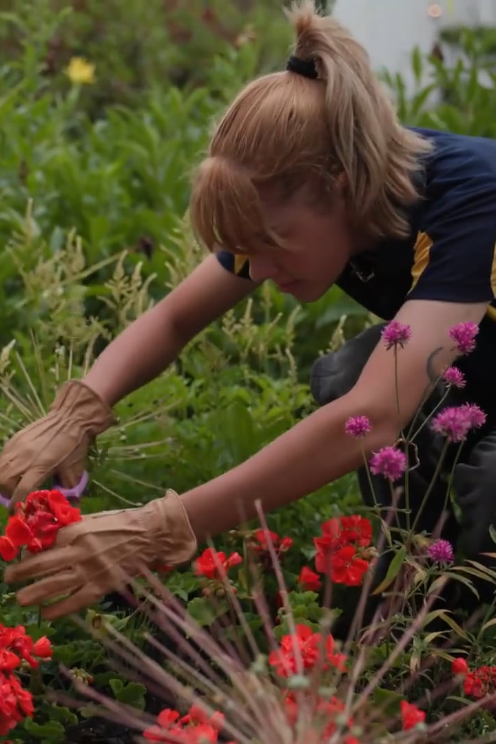 Landscape and Horticulture SAE Internship