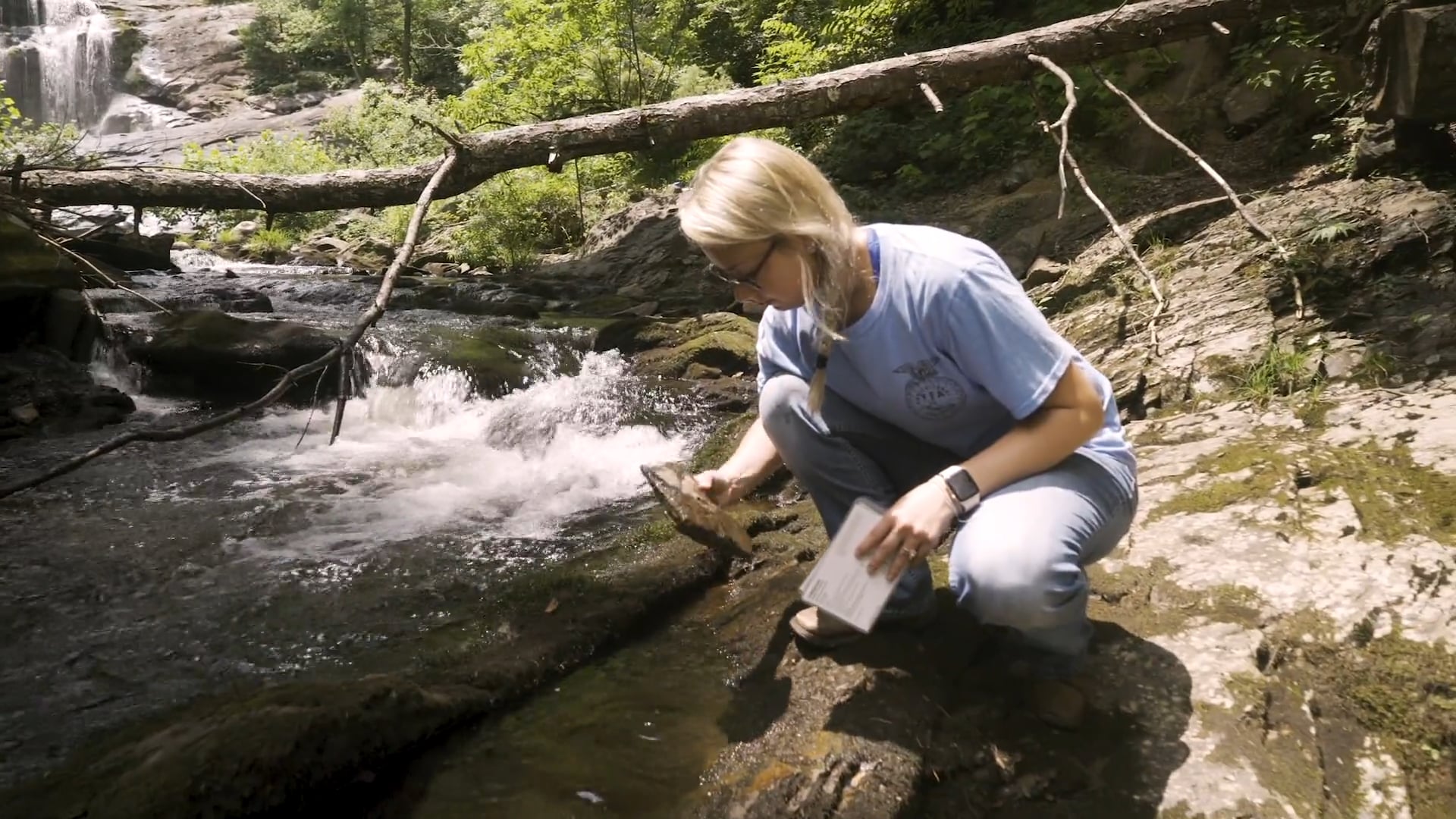 Environmental and Natural Resources SAE